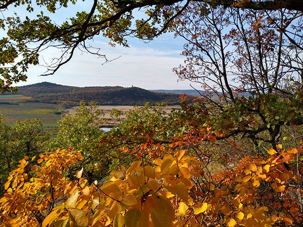 Guided hikes in Tihany